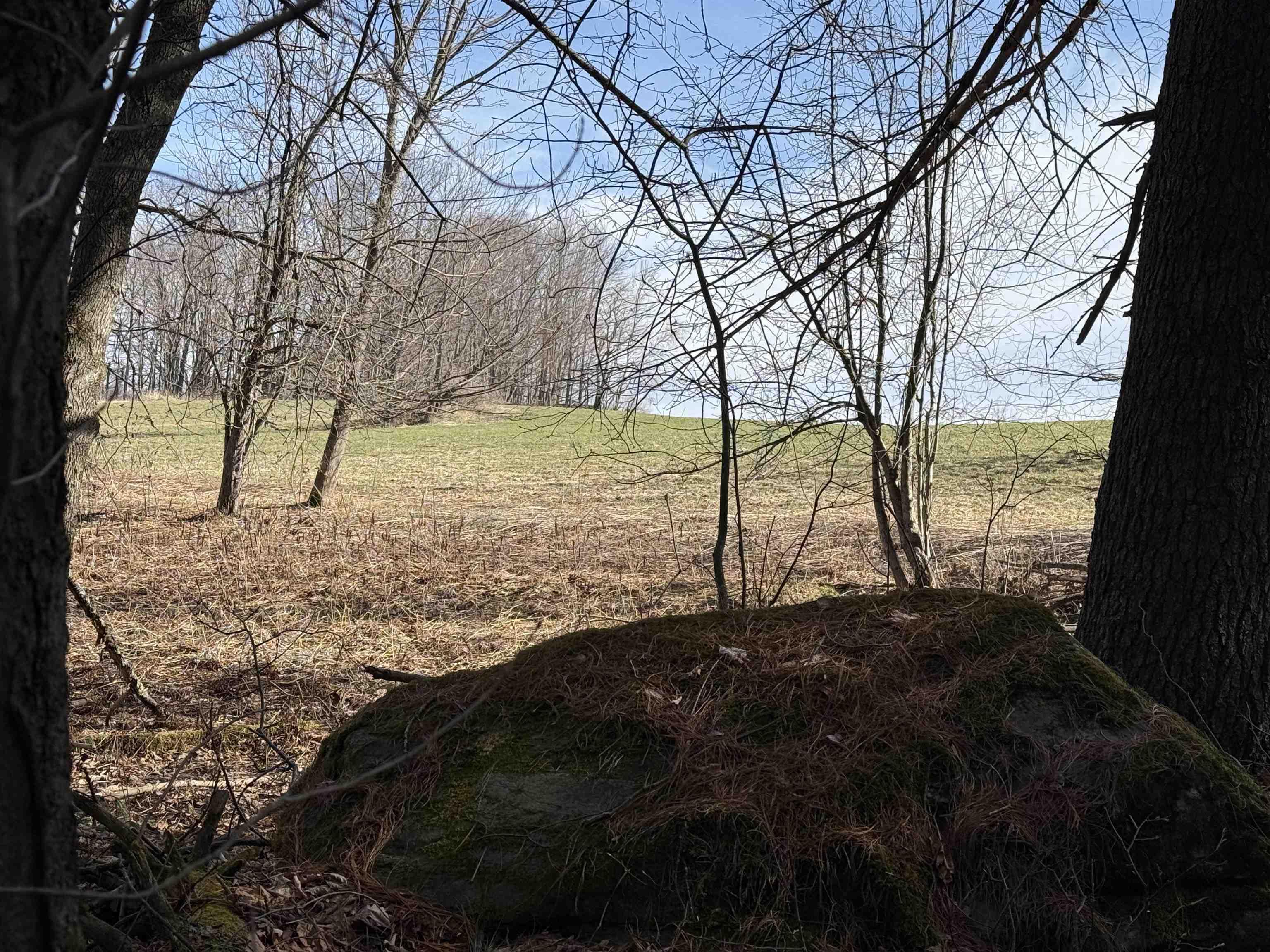 Image 2: MEADOW ON THE OTHER SIDE OF STONEWALL Image 2: MEADOW ON THE OTHER SIDE OF STONEWALL