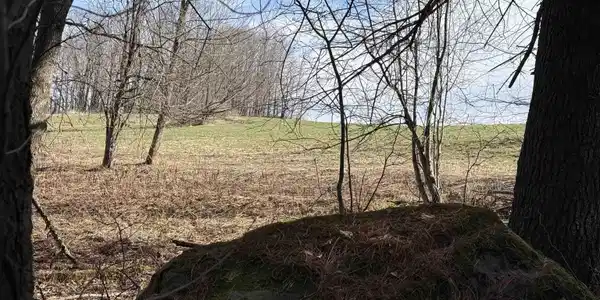 Image 2: MEADOW ON THE OTHER SIDE OF STONEWALL