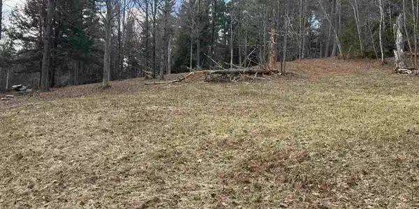 Image 3: HOUSE SITE AREA