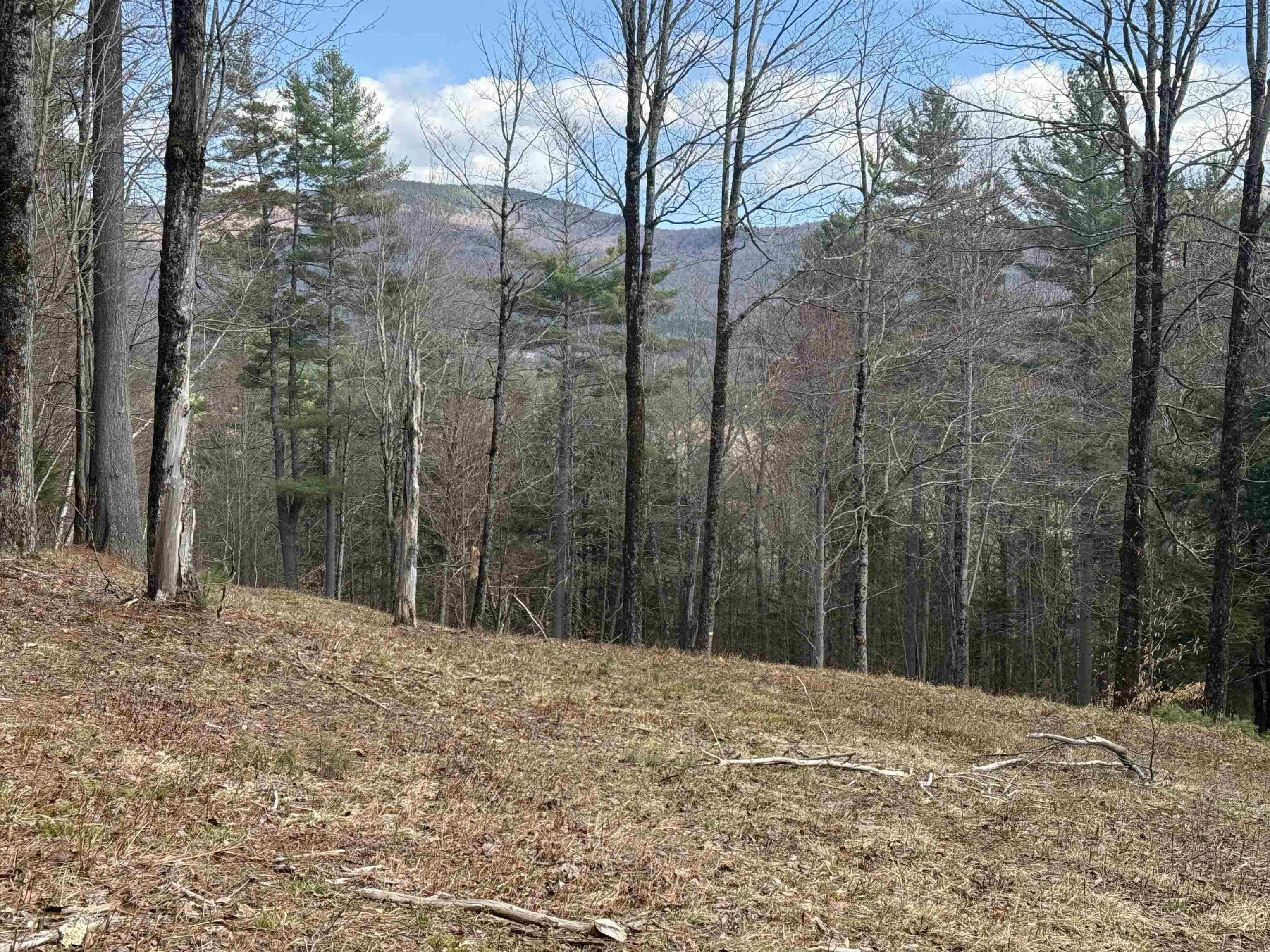 Image 4: HOUSE SITE AREA LOOKING AT PRICKLEY MOUNTAIN Image 4: HOUSE SITE AREA LOOKING AT PRICKLEY MOUNTAIN