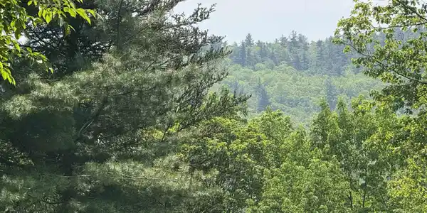 Image 3: Potential View