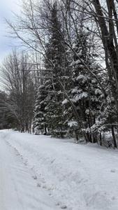 Lot 4 Catterall Road