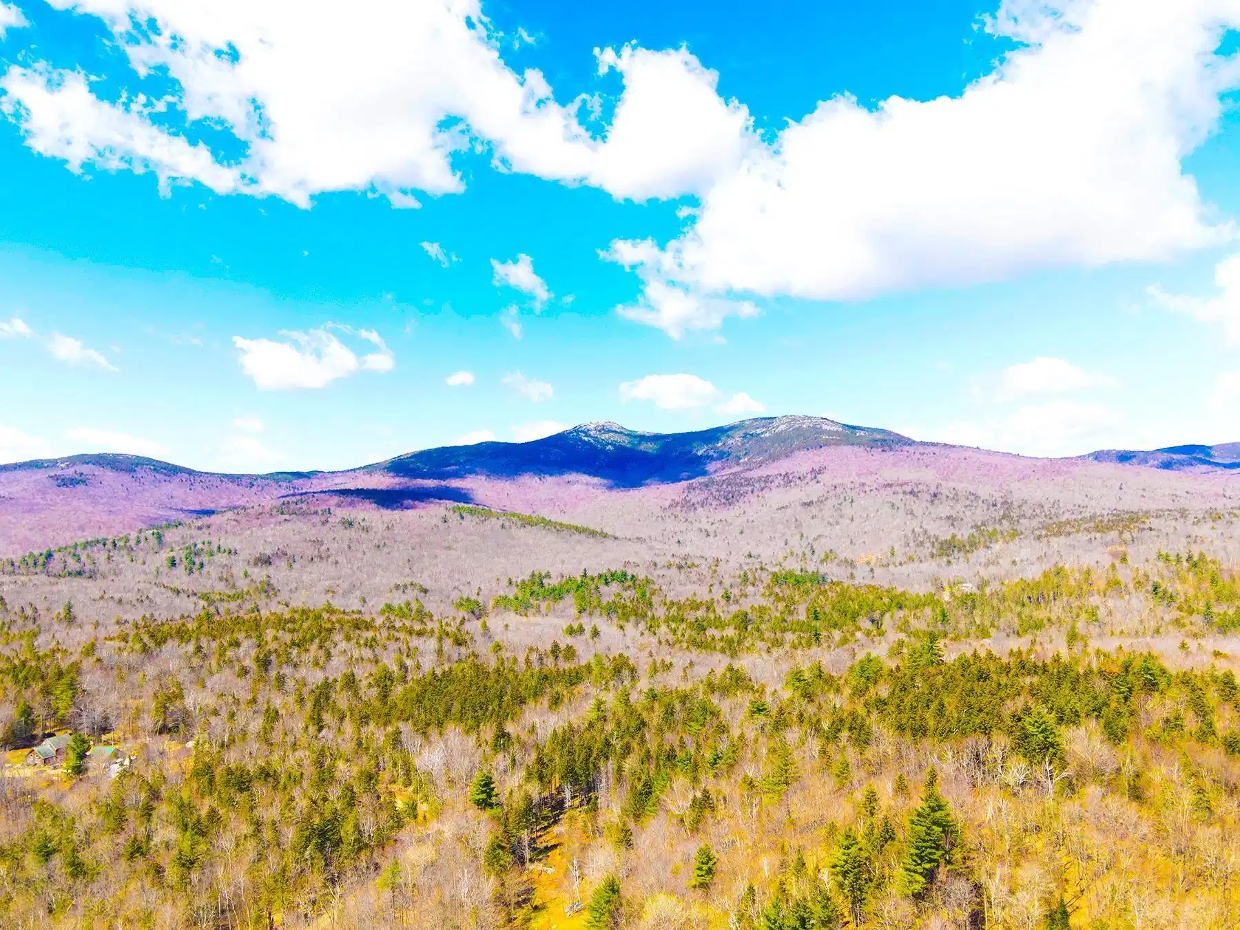 Image 1 Image 1