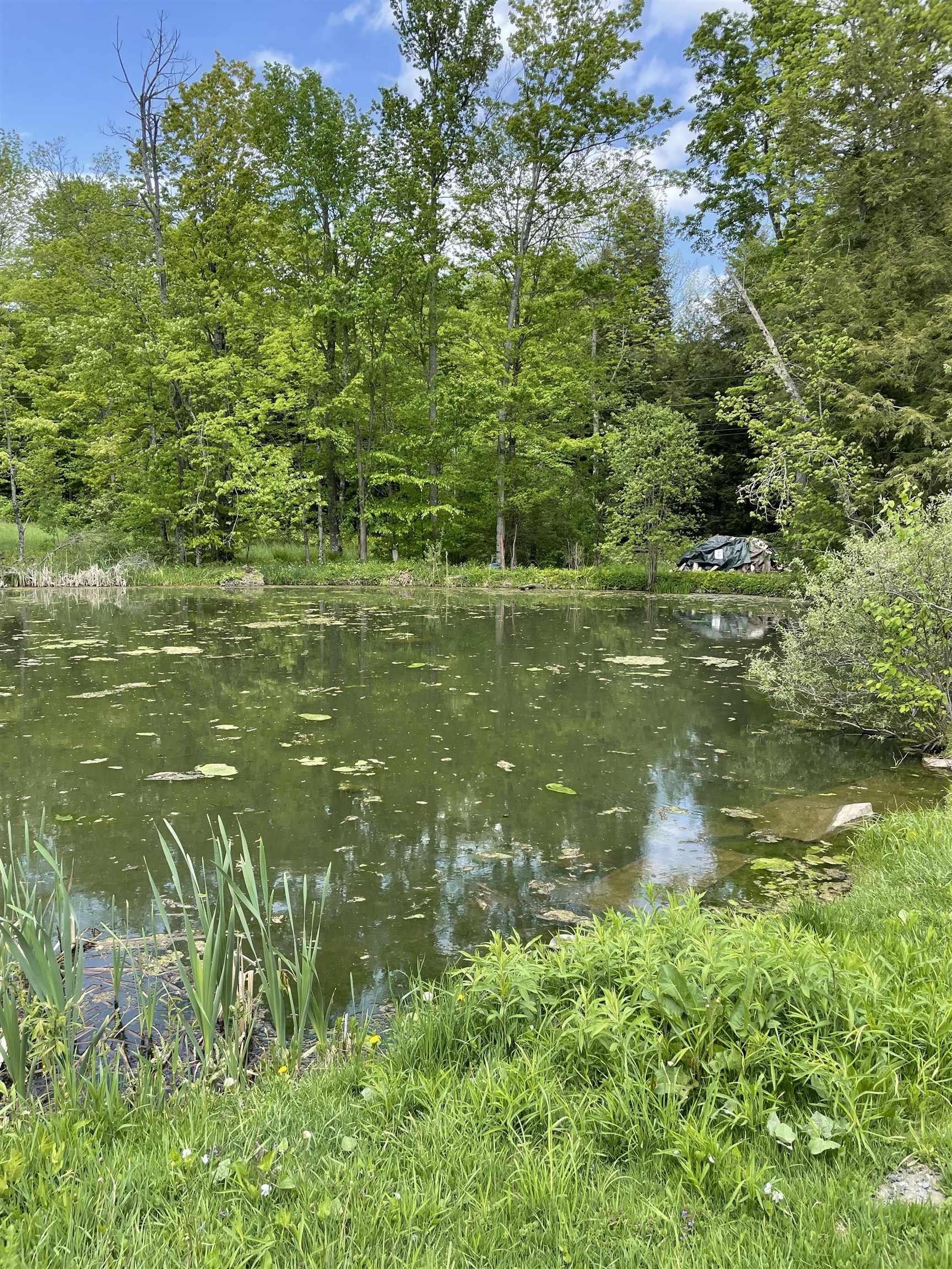 Image 3 Image 3