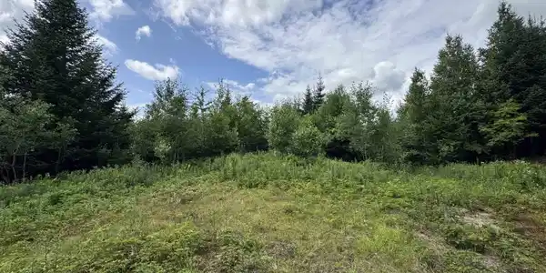 Lot 10 Quimby Road