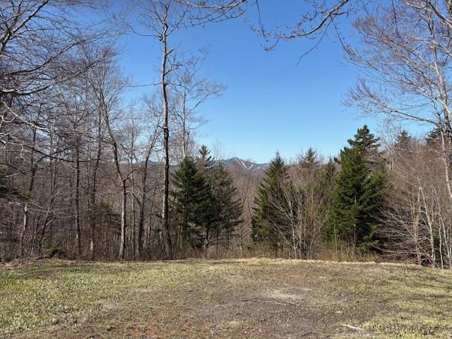Image 2: Open land area with views Image 2: Open land area with views