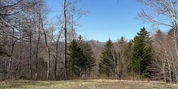 Image 2: Open land area with views