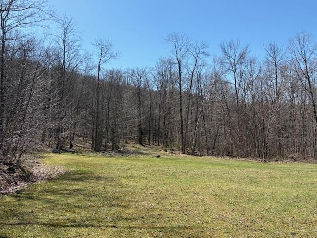 Image 3: Useful open level land area Image 3: Useful open level land area