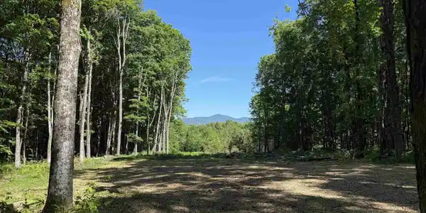 00 VT Route 14