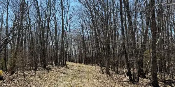 Image 2: Access rd