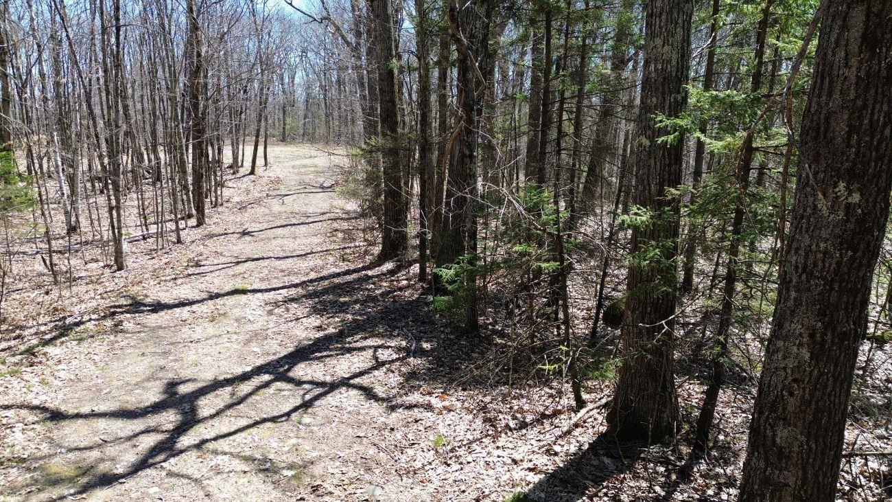 Image 4 Image 4