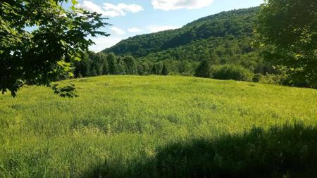 Lot B Windmill Lane