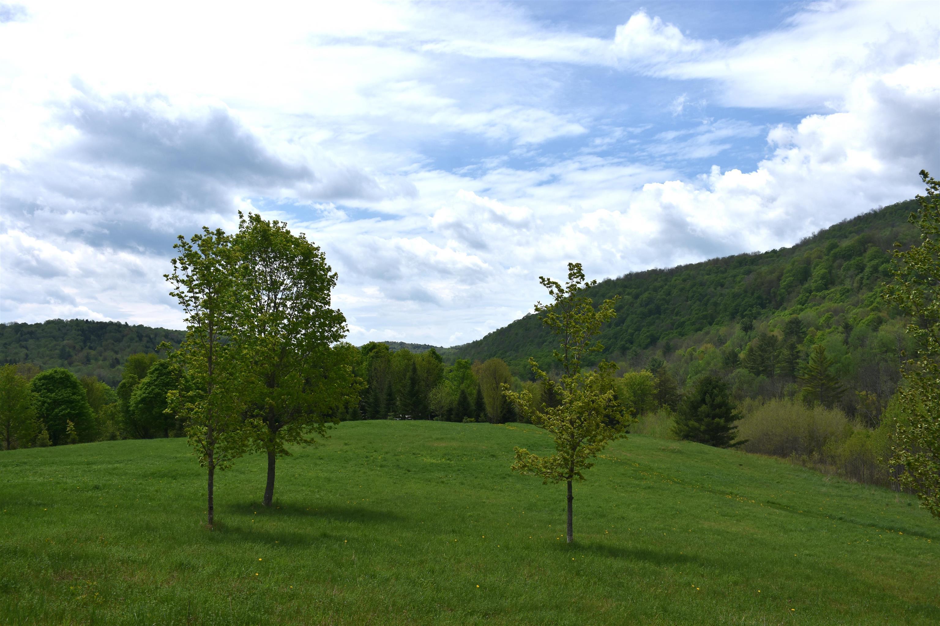 Image 4 Image 4