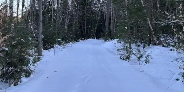 Whipple Hill Road