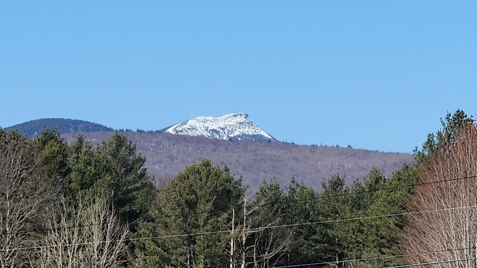 Image 1 Image 1