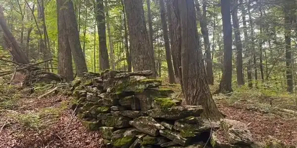 Image 3: Ancient Stone Walls Encompass