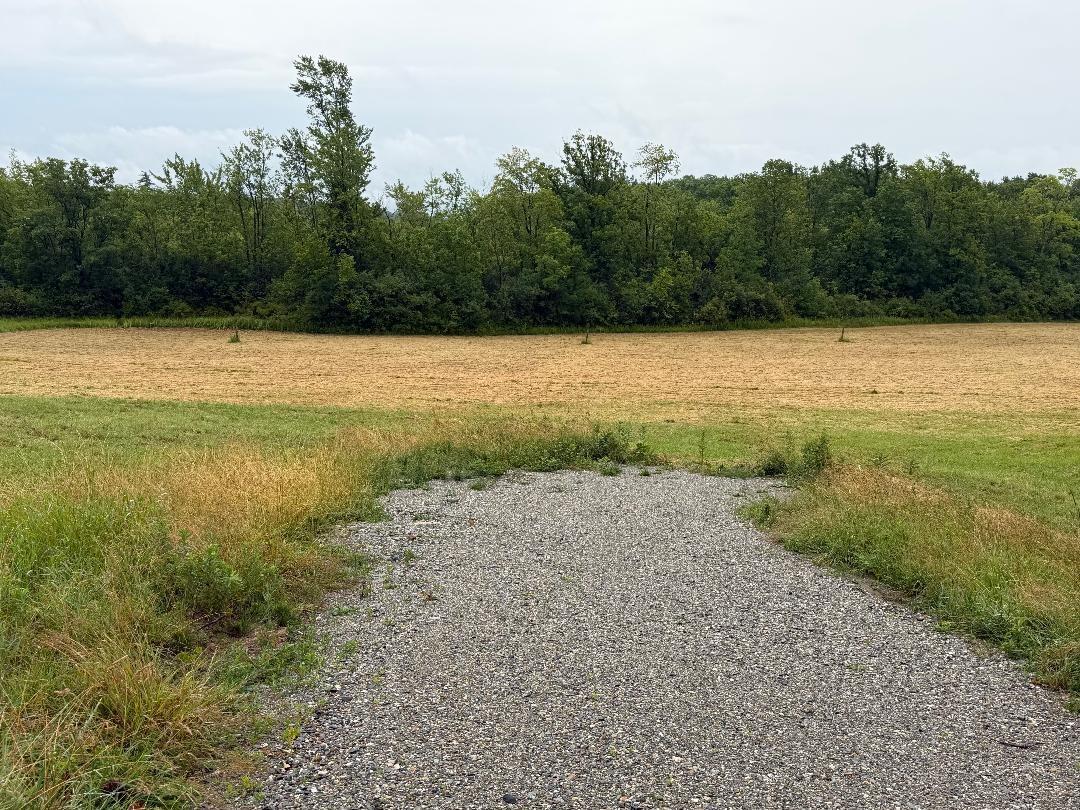 Image 3: late July after the field was mowed Image 3: late July after the field was mowed