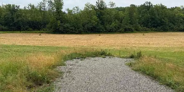 Image 3: late July after the field was mowed
