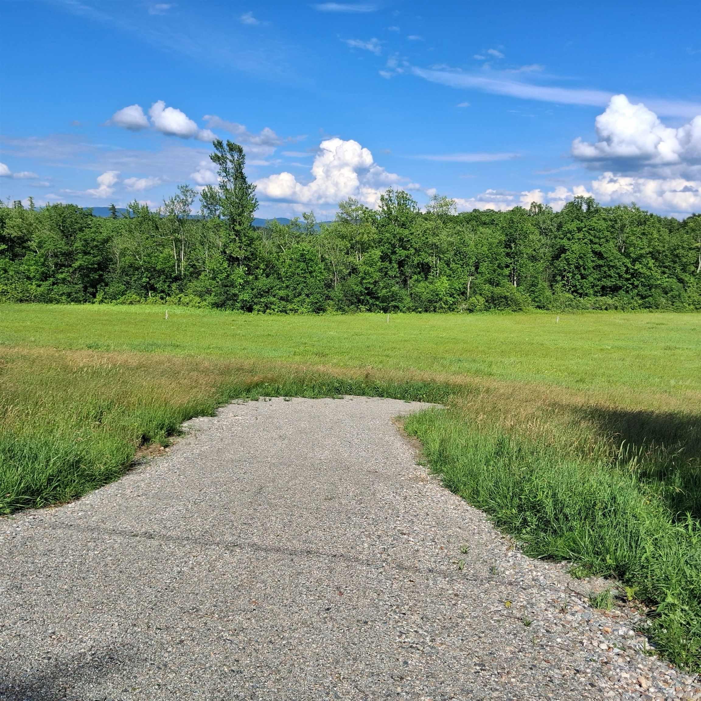 Image 4: Shared driveway to both lots Image 4: Shared driveway to both lots