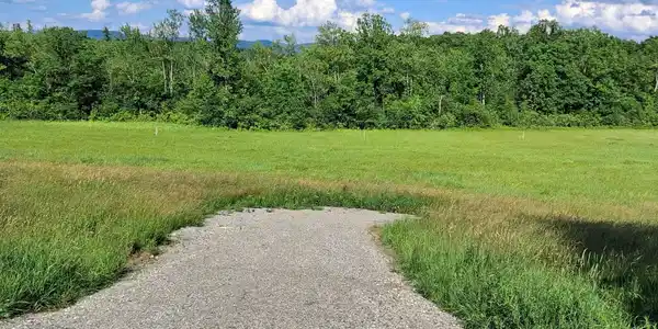 Image 4: Shared driveway to both lots