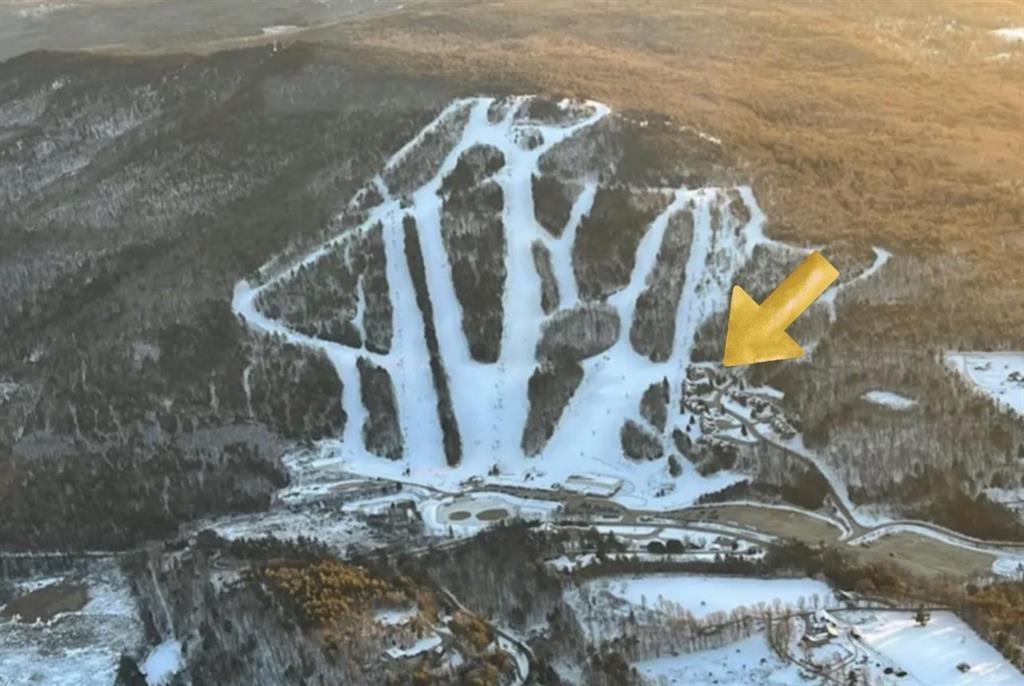 Image 3: Aerial View