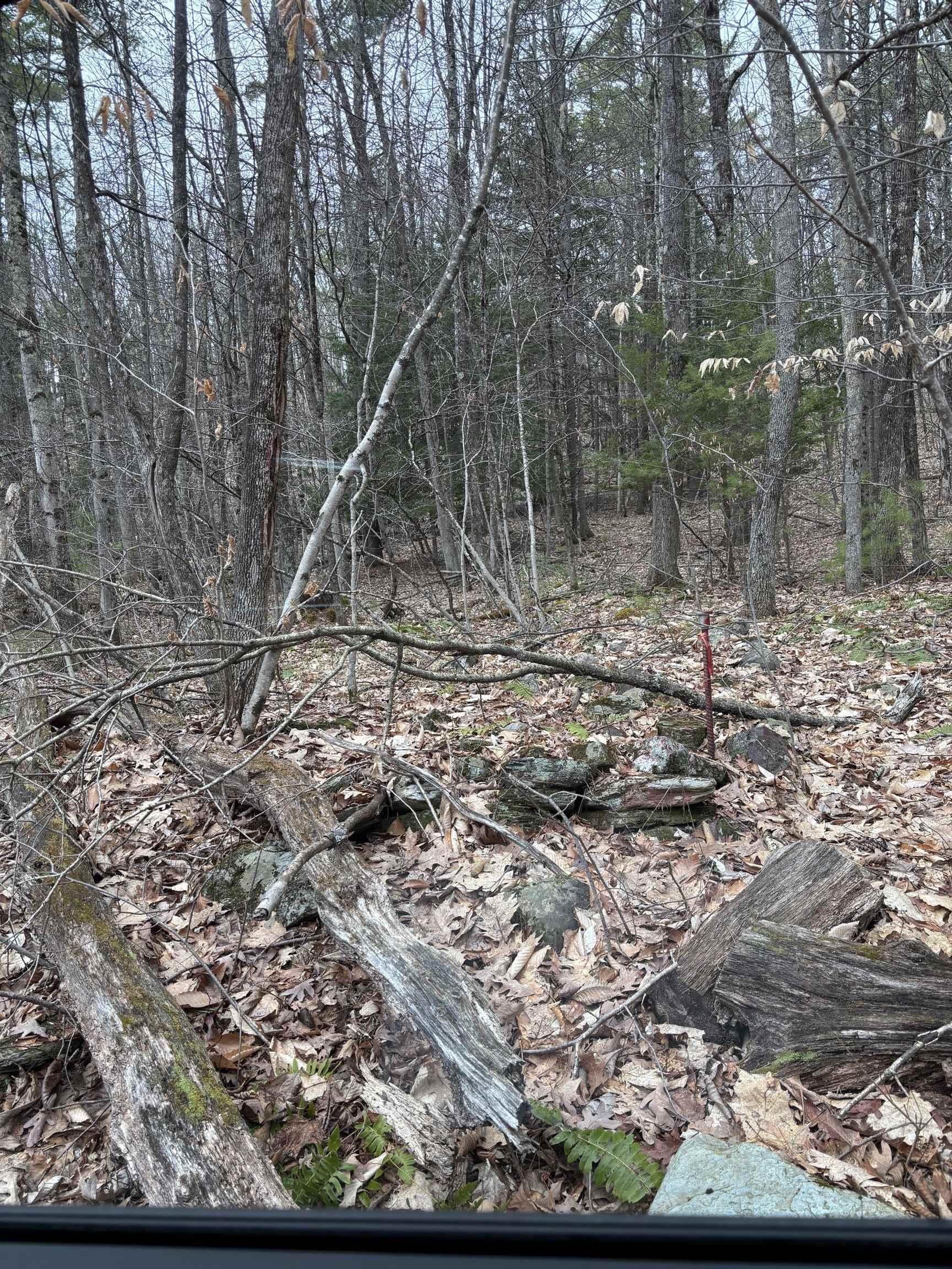Image 1: Gleason land 1 Image 1: Gleason land 1