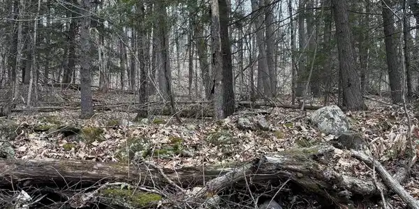 Image 2: Gleason land 2