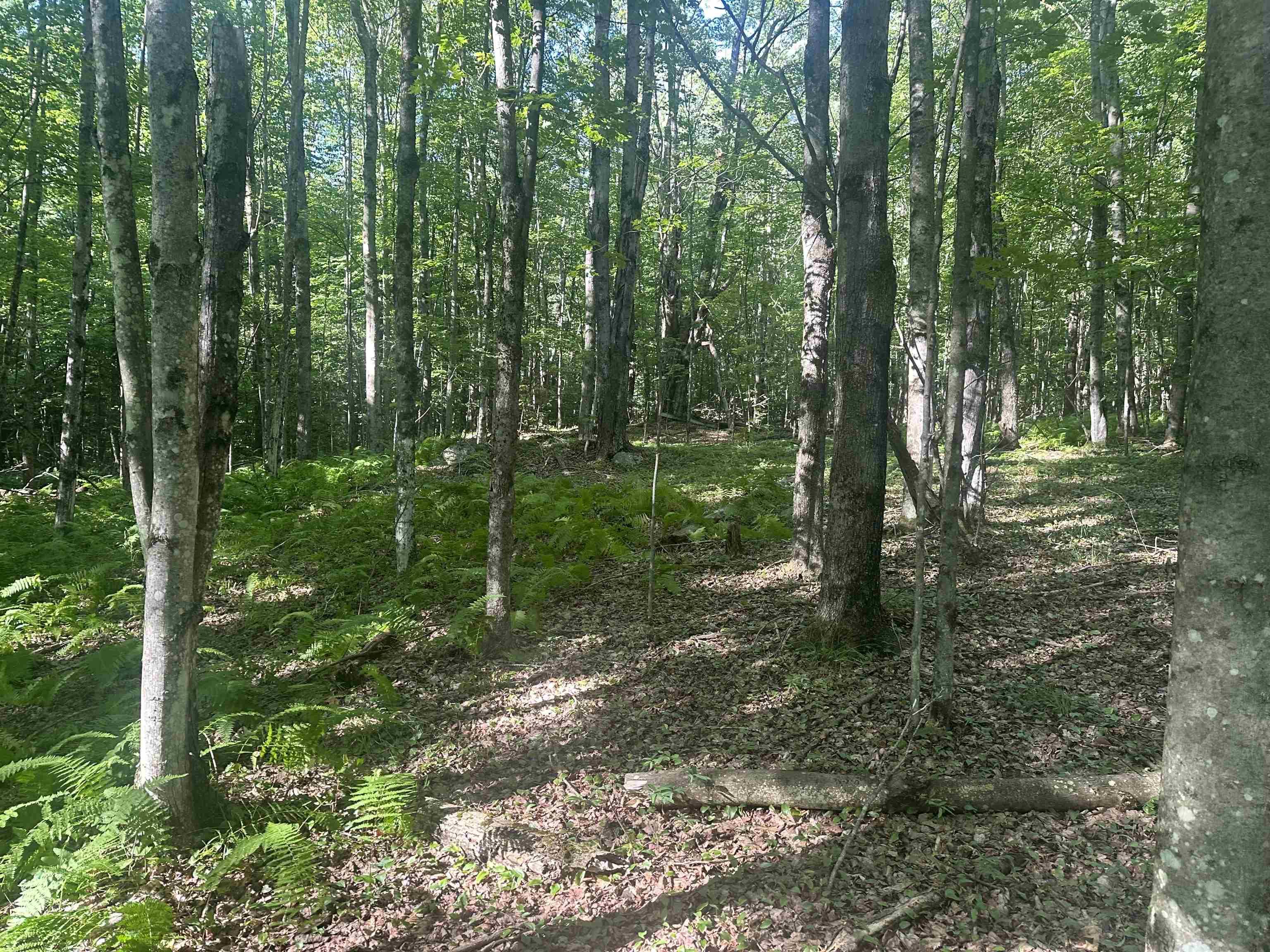 Image 2 Image 2
