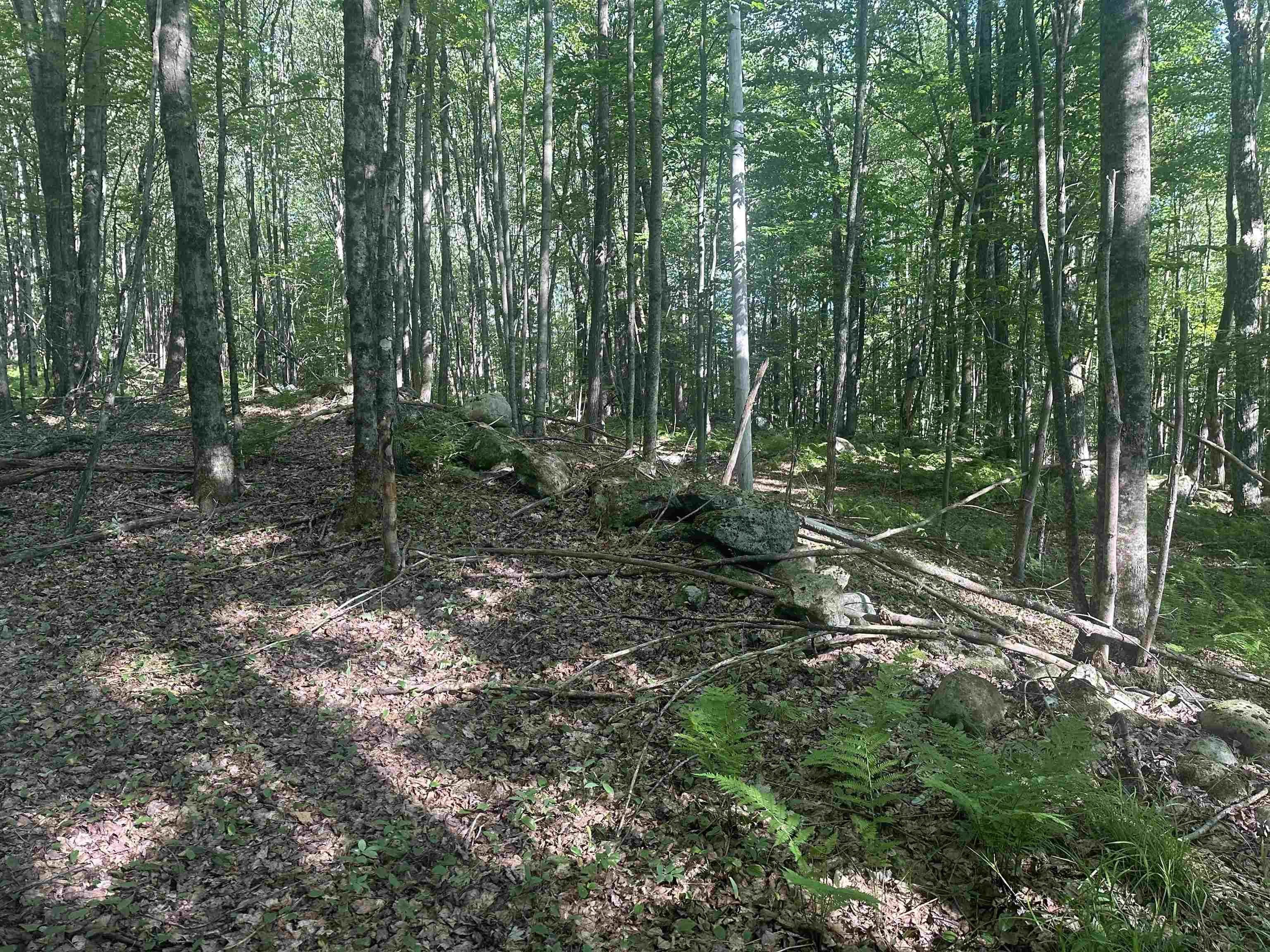 Image 3 Image 3