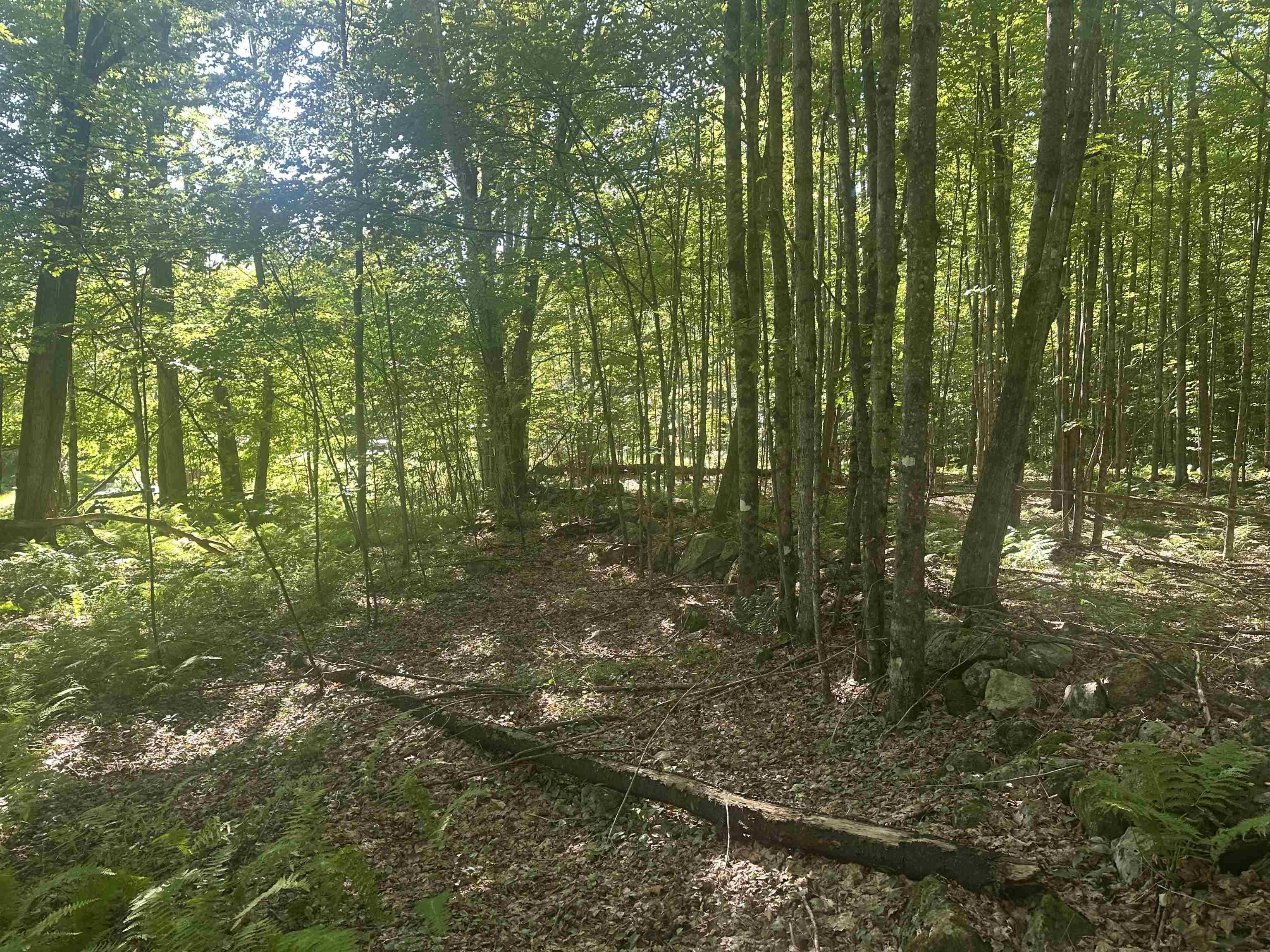 Image 4 Image 4