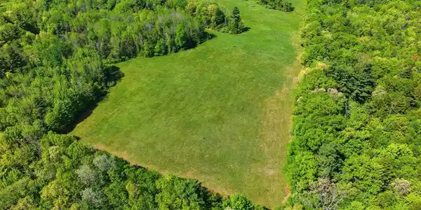 Image 4: HADLEY HILL FARM: 270 Acres