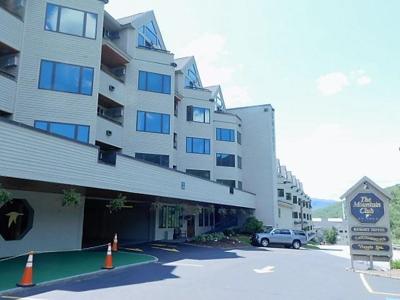 90 Loon Mountain Road