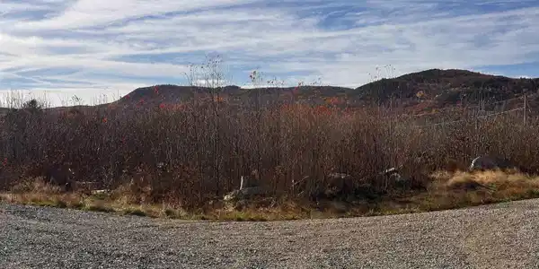 TBD McIntyre Road
