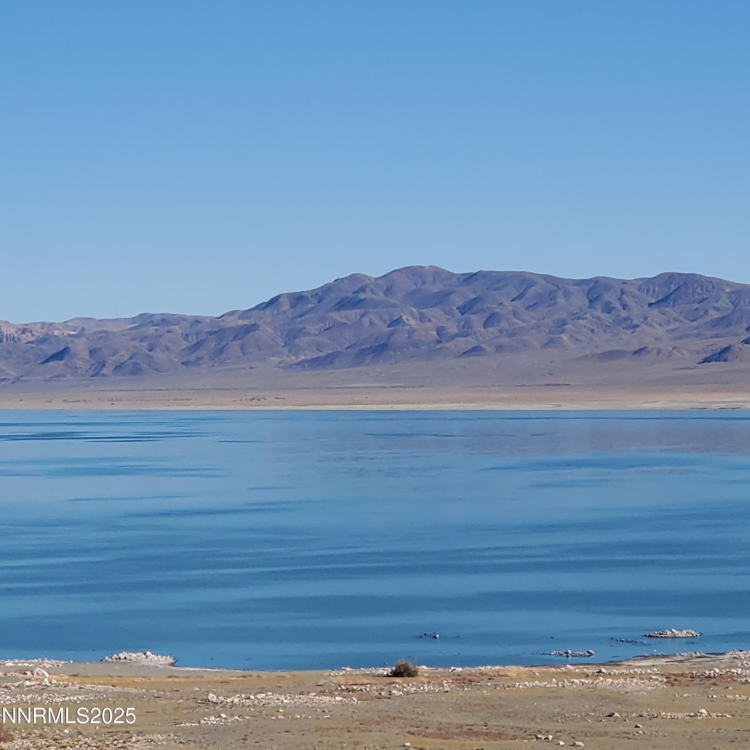 Image 4: 20251019_100200