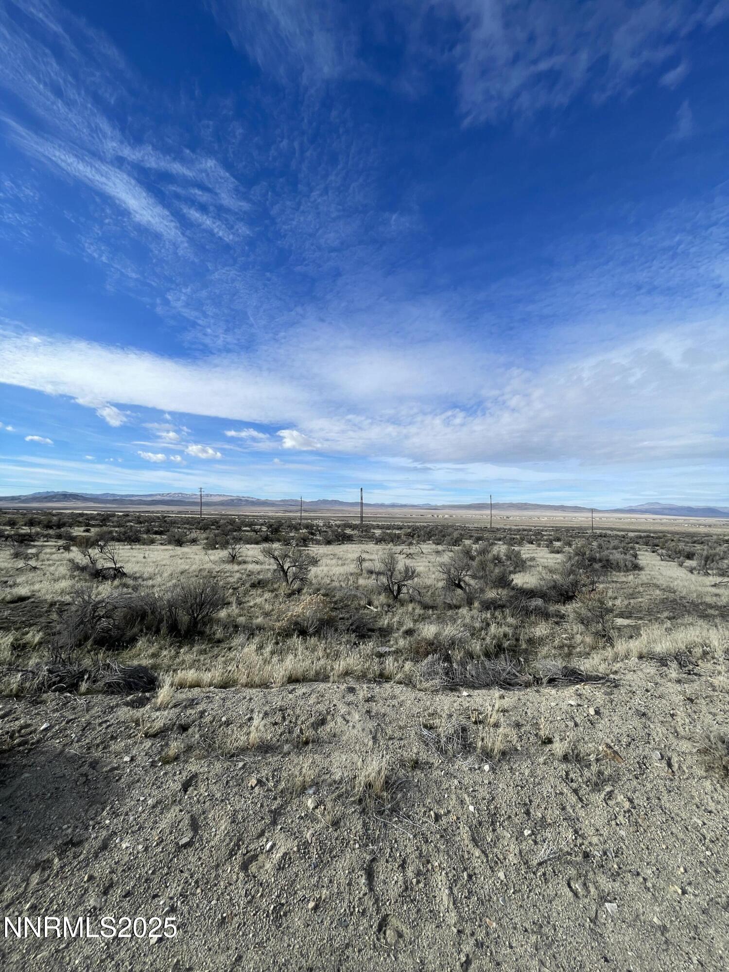 Image 2: IMG_9334