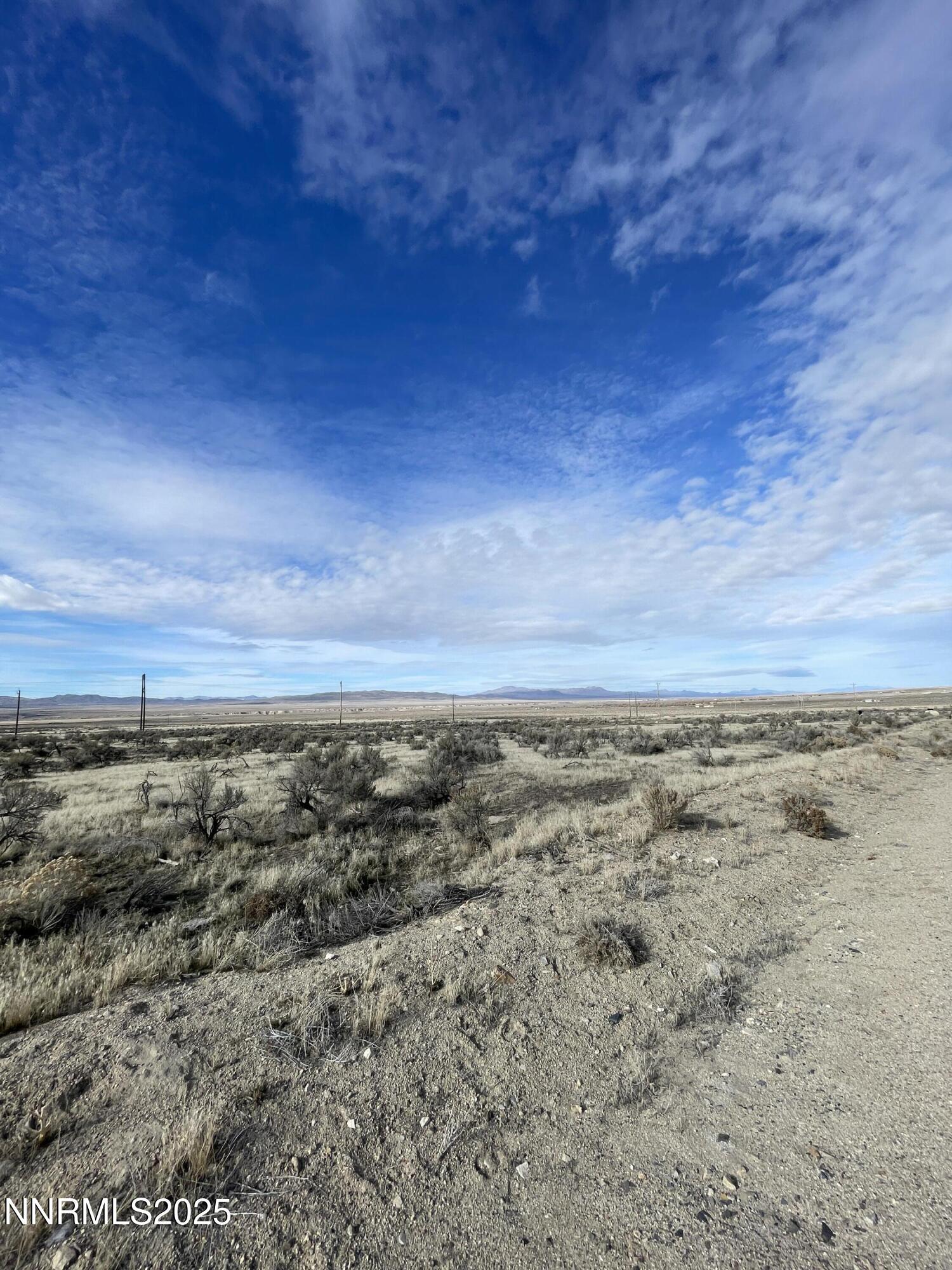 Image 3: IMG_9335