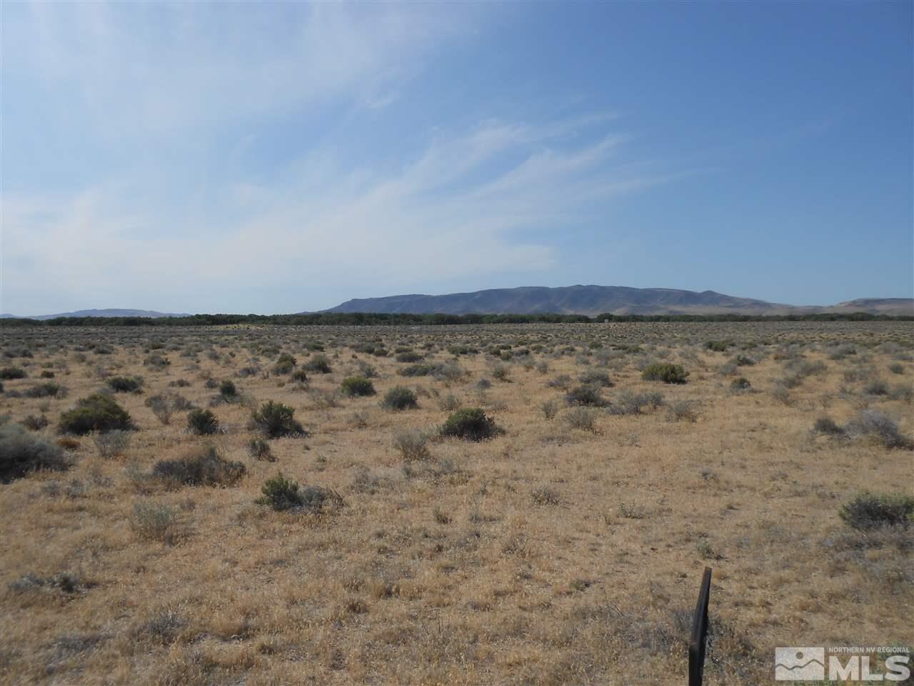 Image 3: Photo 3