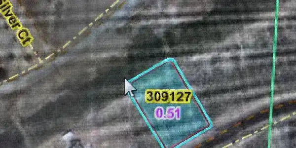 Image 2: TOIYABE MAP PIC