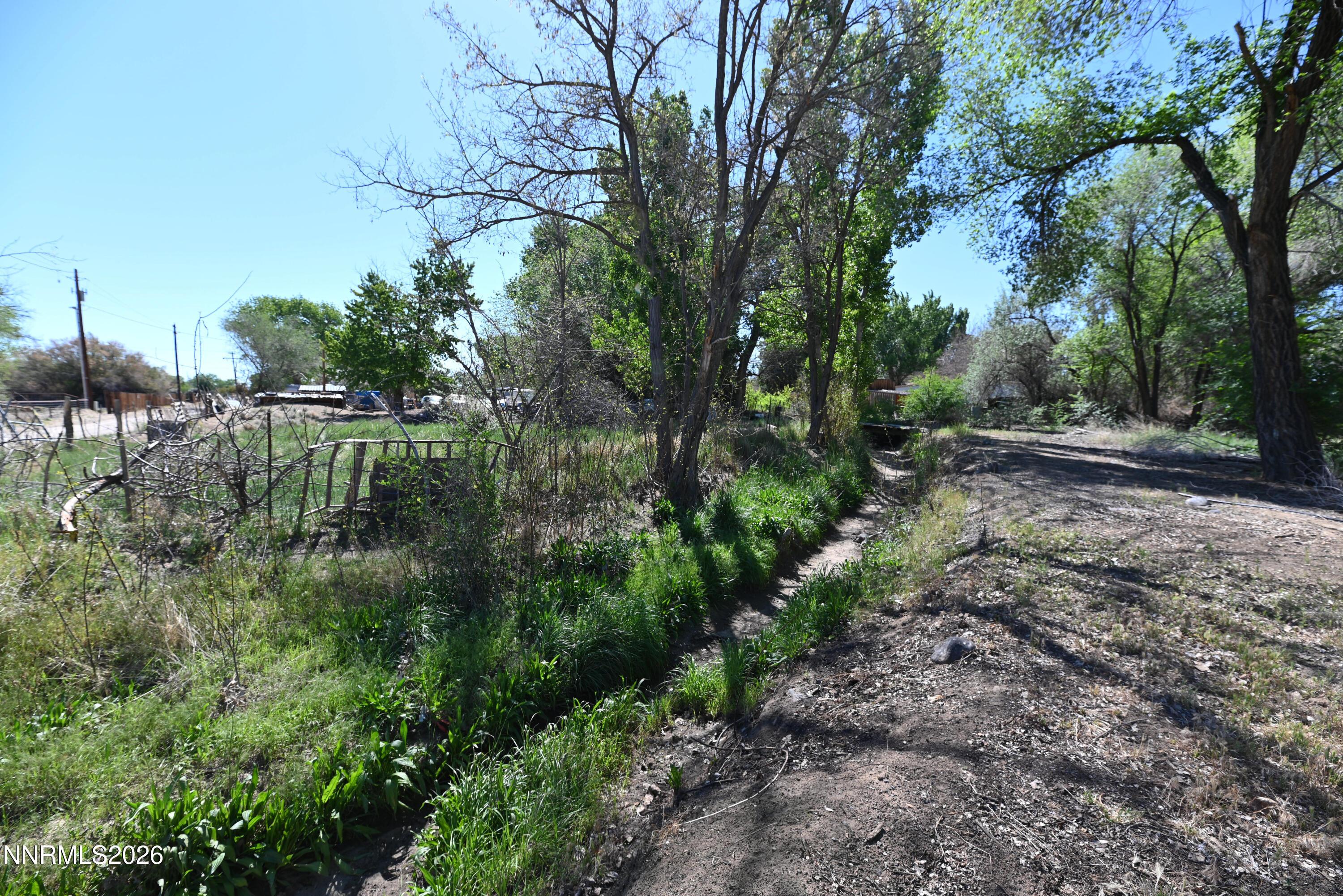 Image 2: DSC_4505 copy