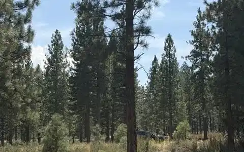 Image 2: Homesite 349