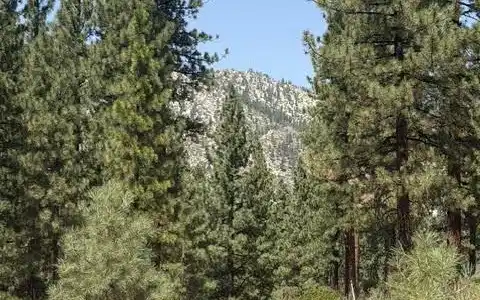 Image 3: Homesite 349