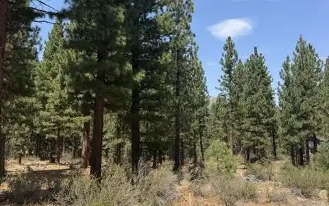 Image 4: Homesite 349