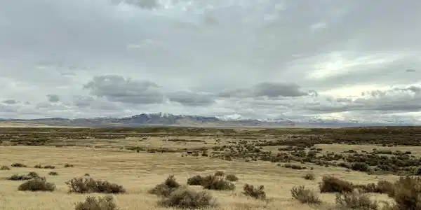 03074121 McDermitt