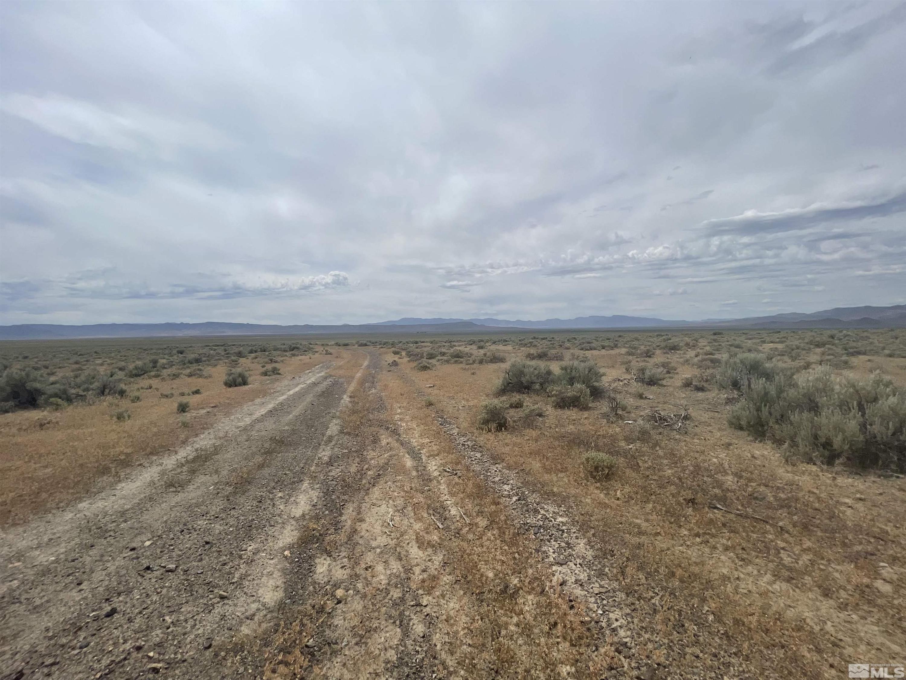 Image 4: Photo 1