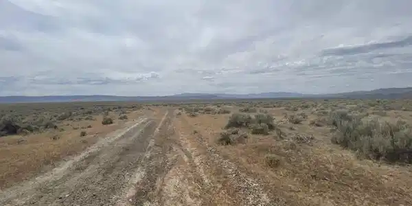 Image 4: Photo 1
