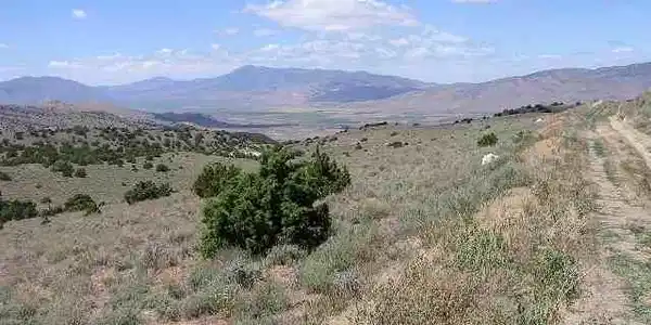 Image 2: Photo 2