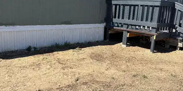 Image 2: out side sf
