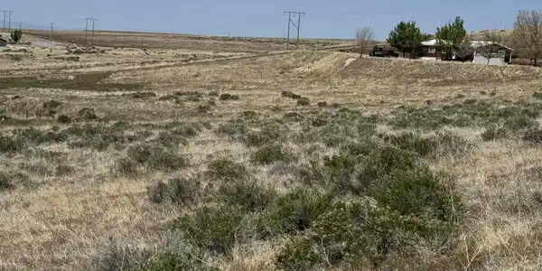 Image 4: Photo 4