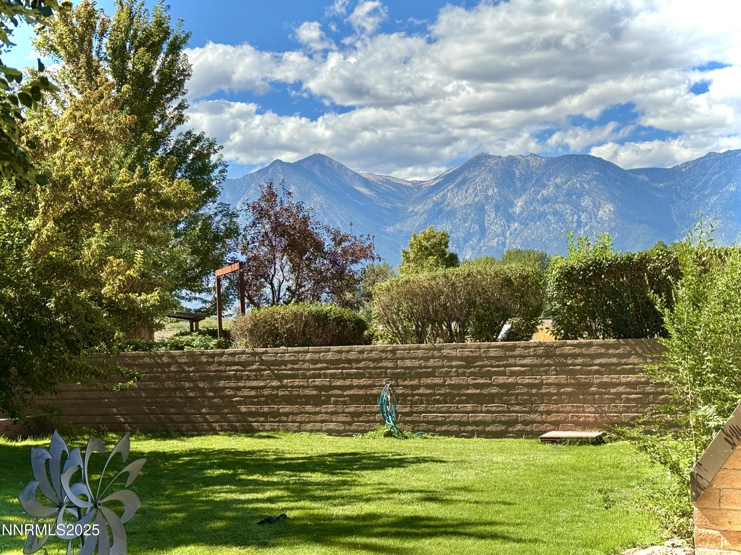 Image 3: IMG_1427