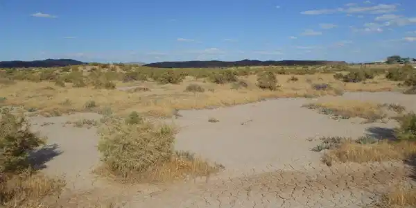 Image 2: Photo 2